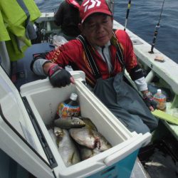 大進丸（愛知） 釣果