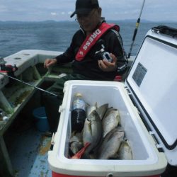 大進丸（愛知） 釣果