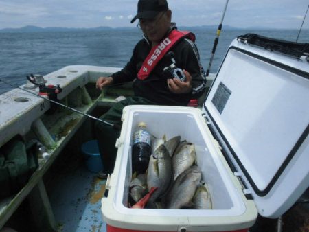 大進丸（愛知） 釣果