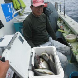 大進丸（愛知） 釣果