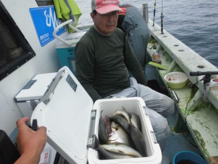 大進丸（愛知） 釣果