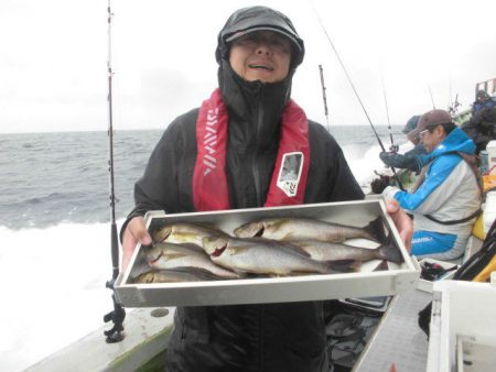 大進丸（愛知） 釣果