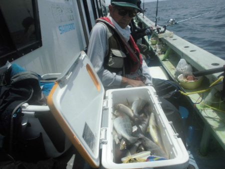 大進丸（愛知） 釣果