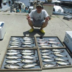 大進丸（愛知） 釣果