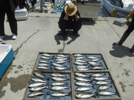 大進丸（愛知） 釣果