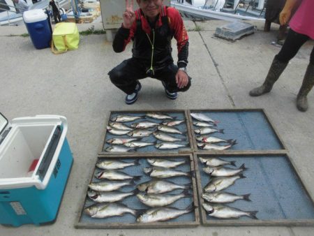 大進丸（愛知） 釣果