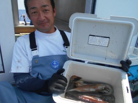 大進丸（愛知） 釣果