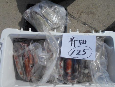 大進丸（愛知） 釣果