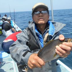 大進丸（愛知） 釣果