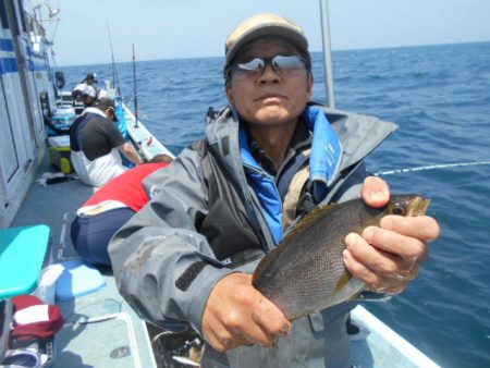 大進丸（愛知） 釣果