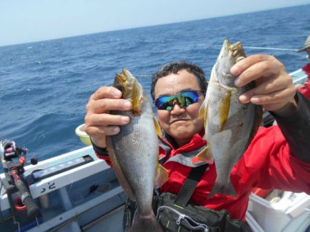 大進丸（愛知） 釣果