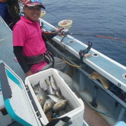 大進丸（愛知） 釣果