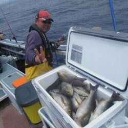 大進丸（愛知） 釣果