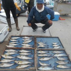 大進丸（愛知） 釣果