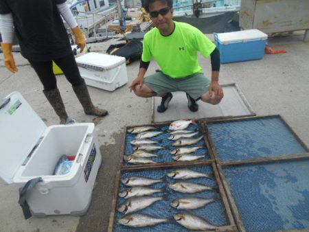 大進丸（愛知） 釣果