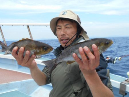 大進丸（愛知） 釣果