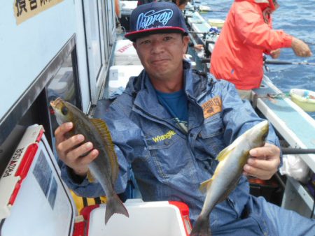 大進丸（愛知） 釣果