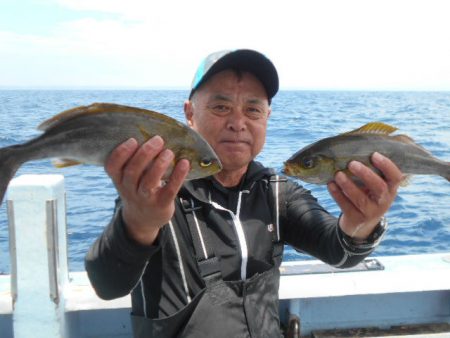 大進丸（愛知） 釣果