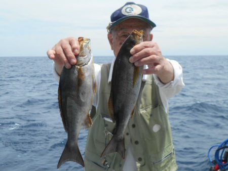 大進丸（愛知） 釣果