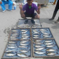 大進丸（愛知） 釣果