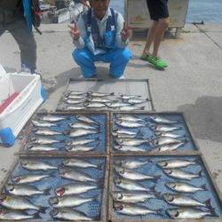 大進丸（愛知） 釣果