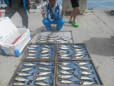 大進丸（愛知） 釣果