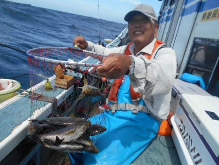 大進丸（愛知） 釣果