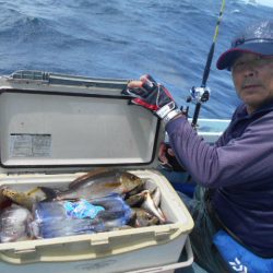 大進丸（愛知） 釣果