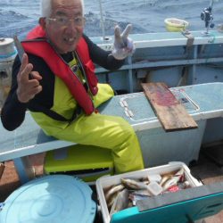 大進丸（愛知） 釣果