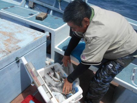 大進丸（愛知） 釣果