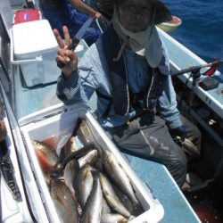 大進丸（愛知） 釣果