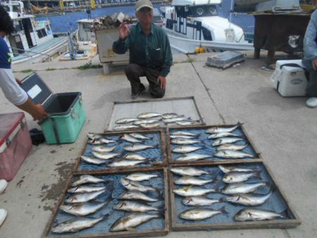 大進丸（愛知） 釣果