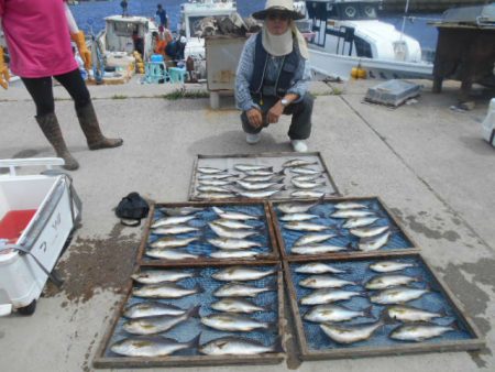 大進丸（愛知） 釣果