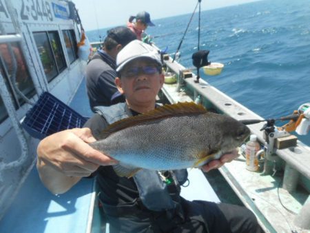 大進丸（愛知） 釣果