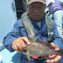 大進丸（愛知） 釣果