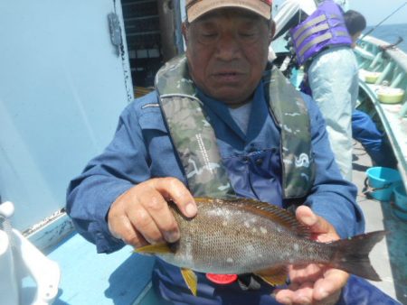 大進丸（愛知） 釣果