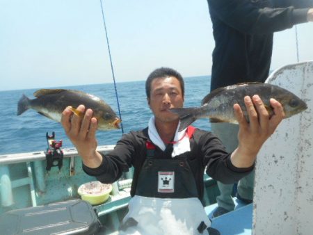 大進丸（愛知） 釣果