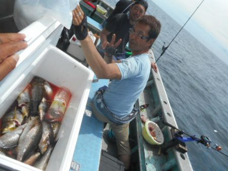 大進丸（愛知） 釣果