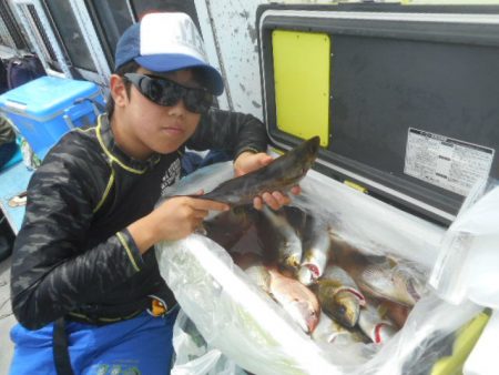 大進丸（愛知） 釣果