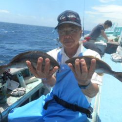 大進丸（愛知） 釣果