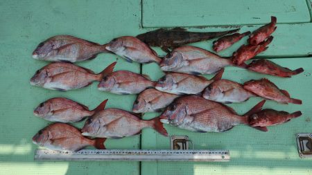 はらまる 釣果