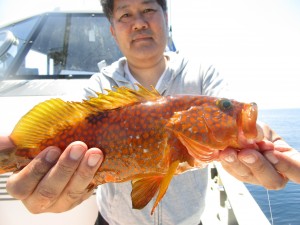 兼六丸 釣果