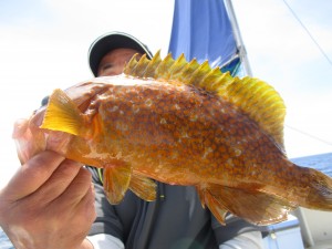 兼六丸 釣果