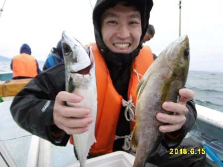 まとばや 釣果