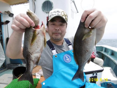 まとばや 釣果