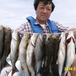 まとばや 釣果