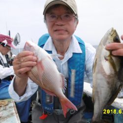 まとばや 釣果