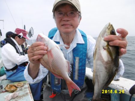 まとばや 釣果