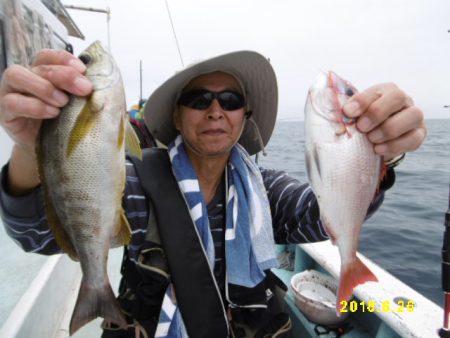 まとばや 釣果