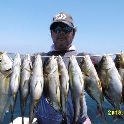 まとばや 釣果